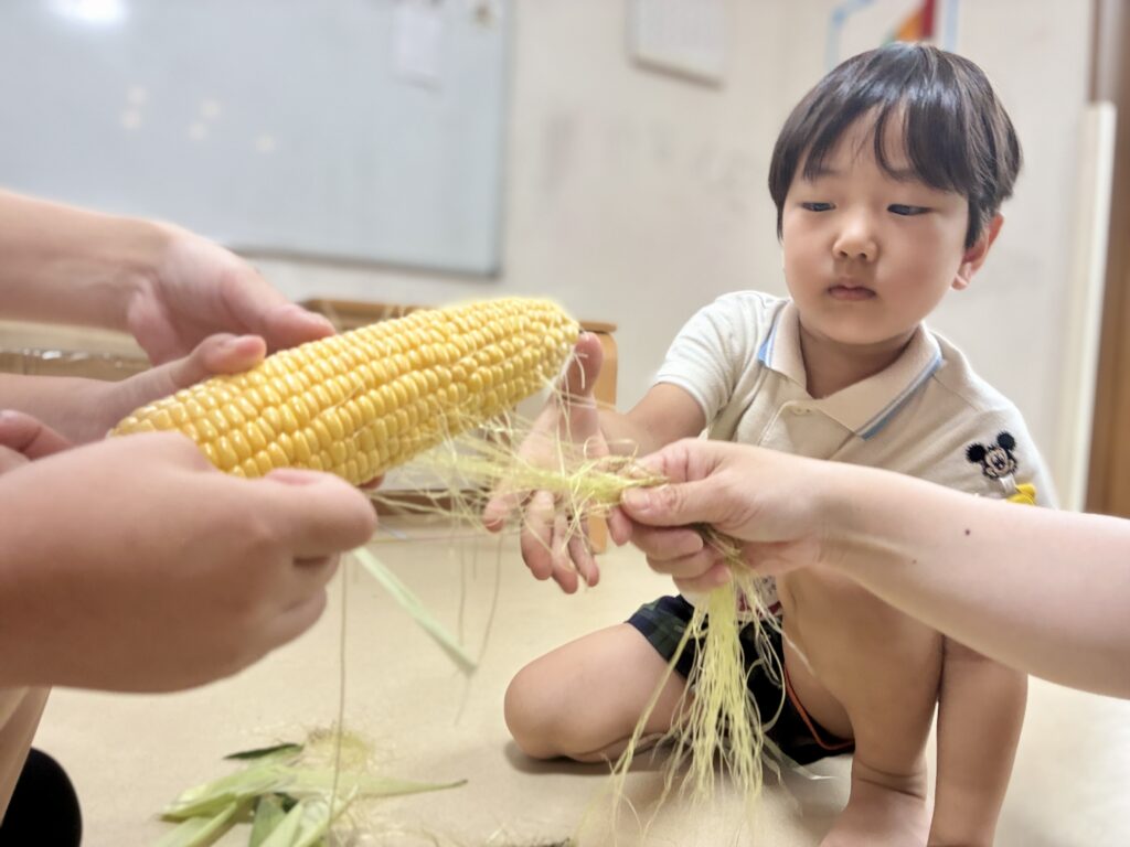皮を剥いたトウモロコシをみて真剣な表情のこども