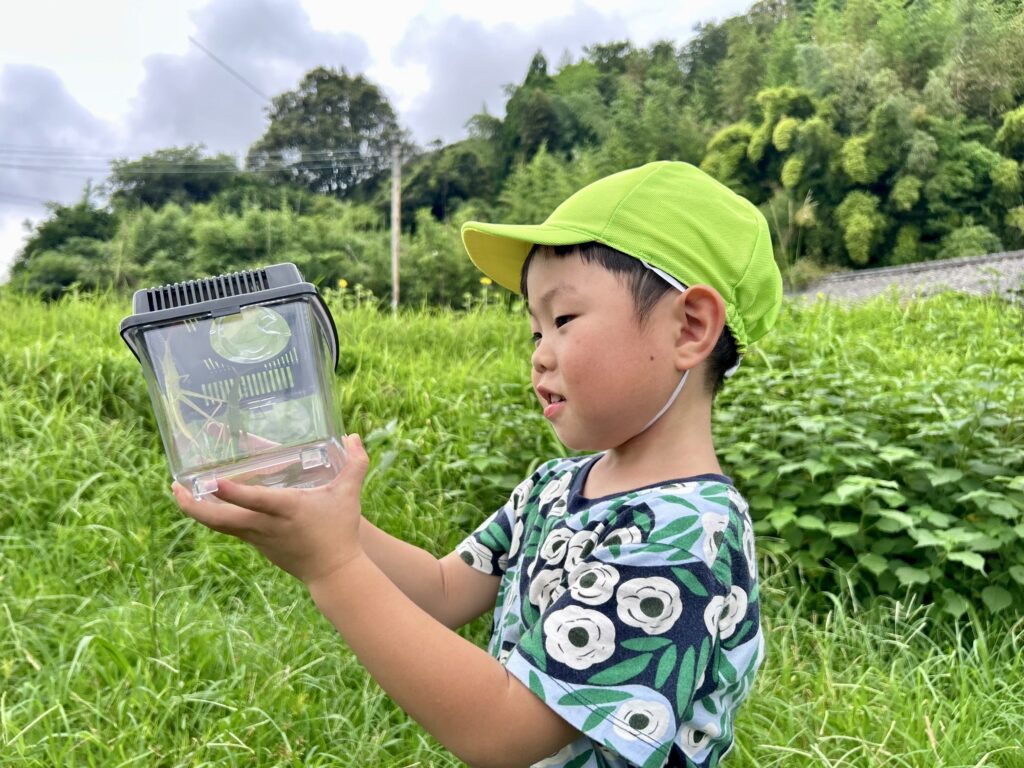 アナベルキッズで見つけた虫の入った虫かごをじっくり観察するこども