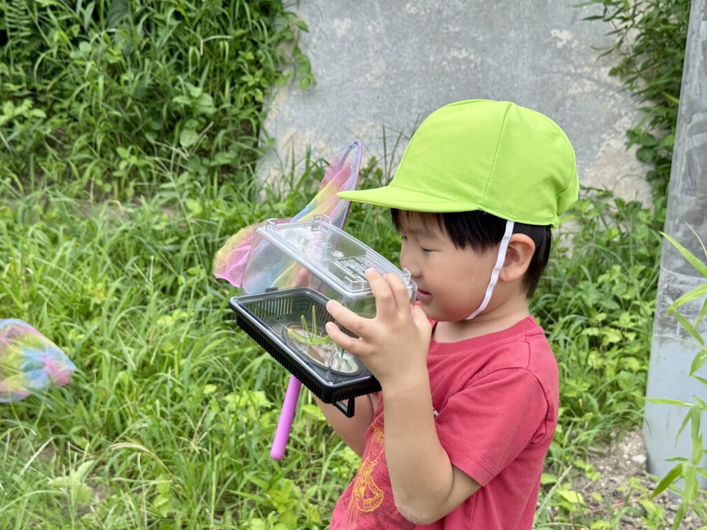 鹿児島市の児童発達支援アナベルキッズで、見つけた虫を虫かご越しに確かめるこども