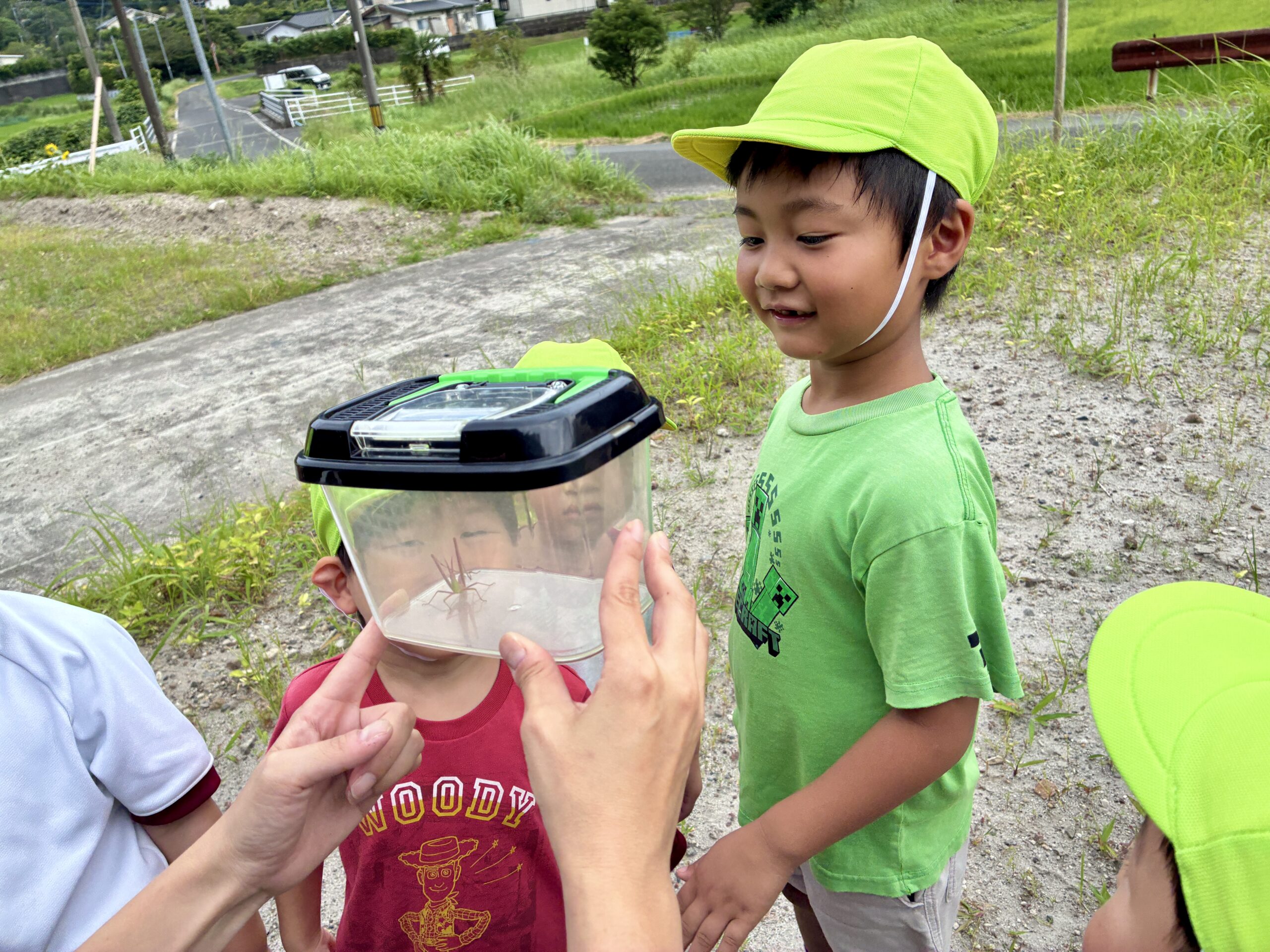 鹿児島市の児童発達支援アナベルキッズで、ピンク色のバッタを虫かご越しに見つめるこども