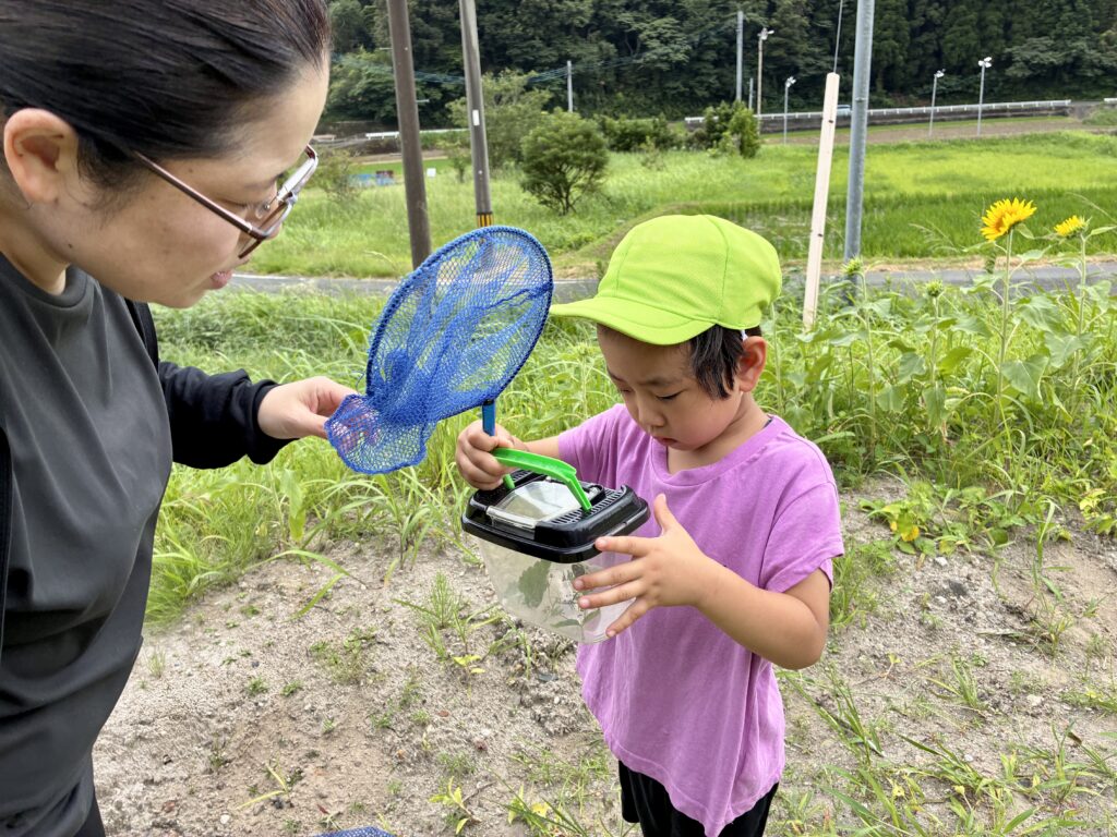 アナベルキッズで見つけた虫の入った虫かごをじっくり観察するこども