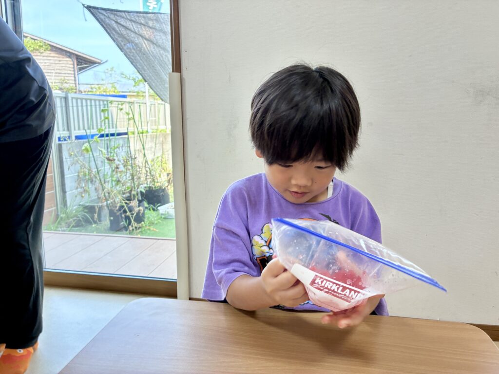 袋に入れたスイカを両手で揉むこども