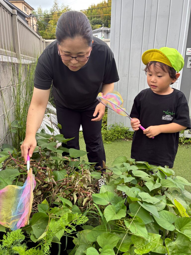 園庭で虫探し遊びの様子