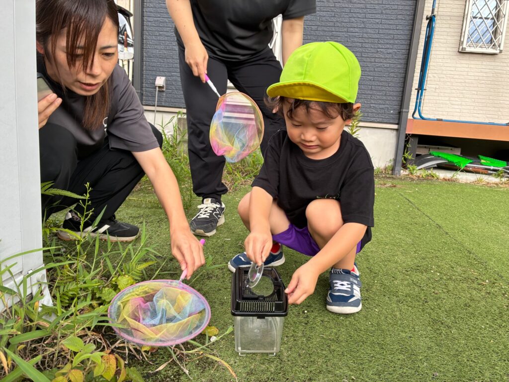 園庭で虫探し遊びの様子
