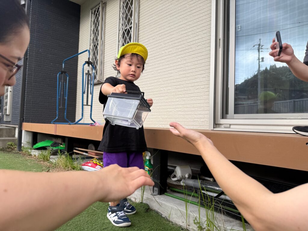 園庭で虫探し遊びの様子