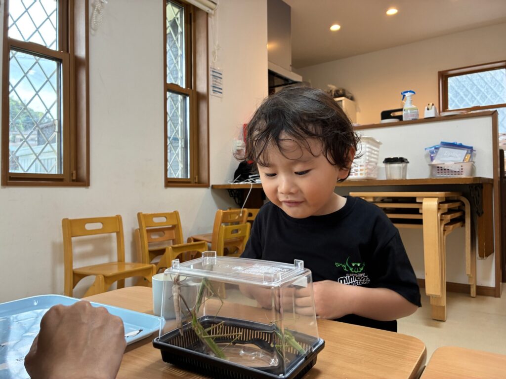 園庭で虫探し遊びの様子