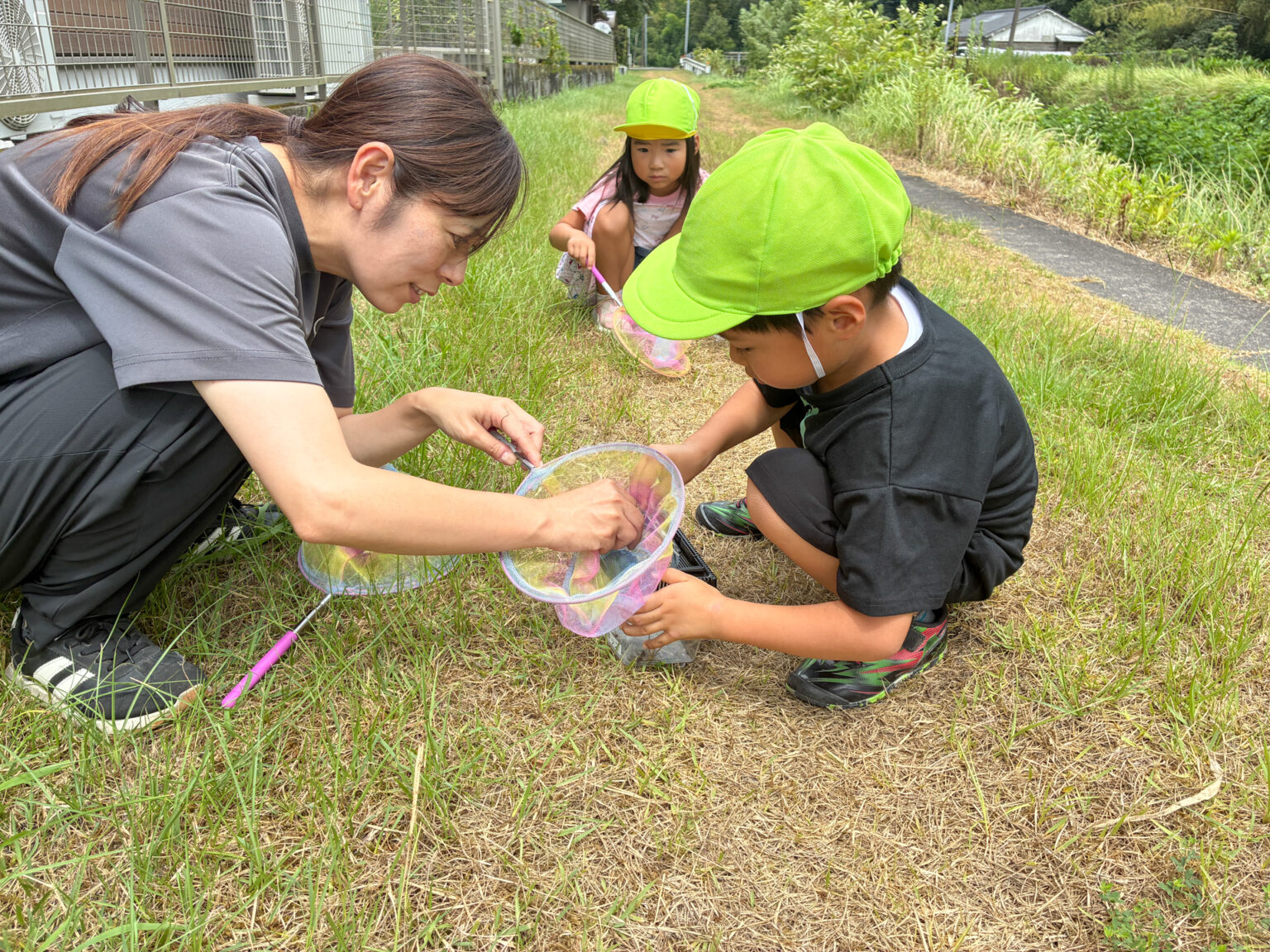 散歩・虫探しの様子 ⑧