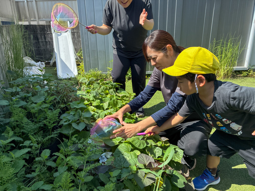 スタッフと草の間をのぞいて虫を探す様子
