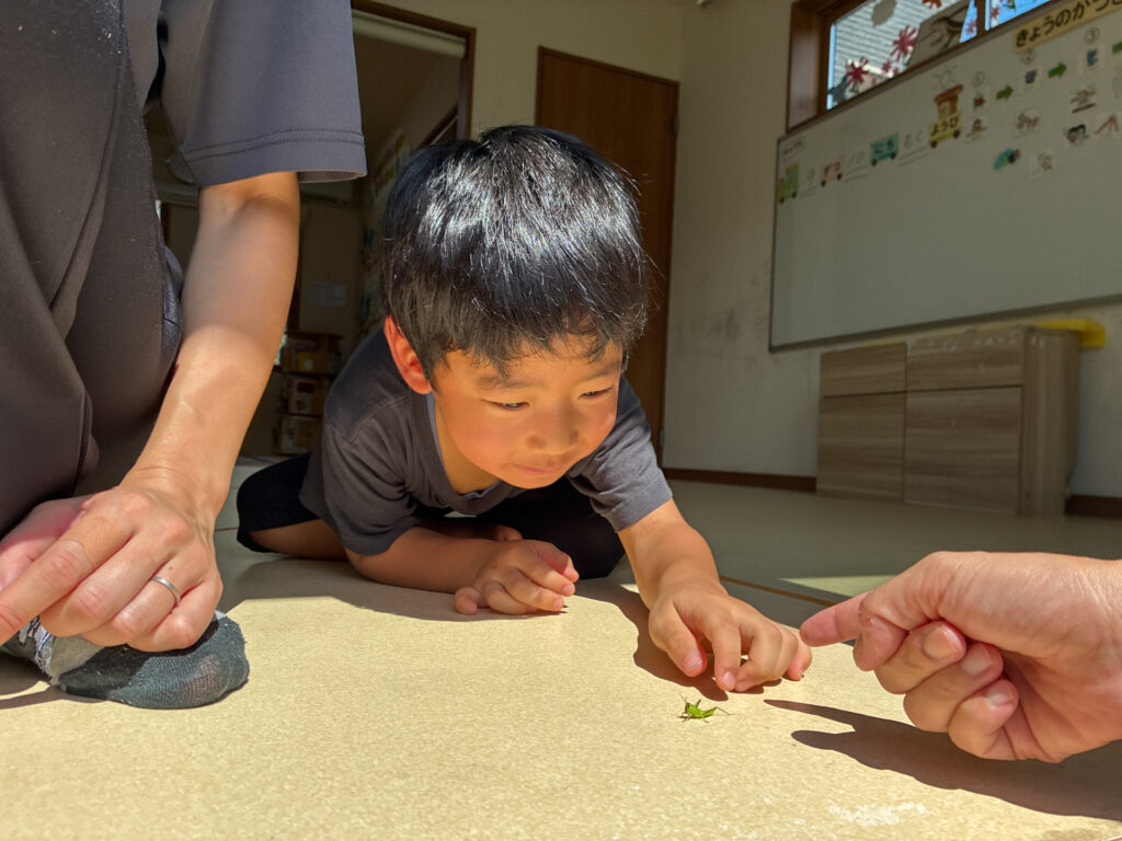 床に近づいて小さな虫を指先で見る様子