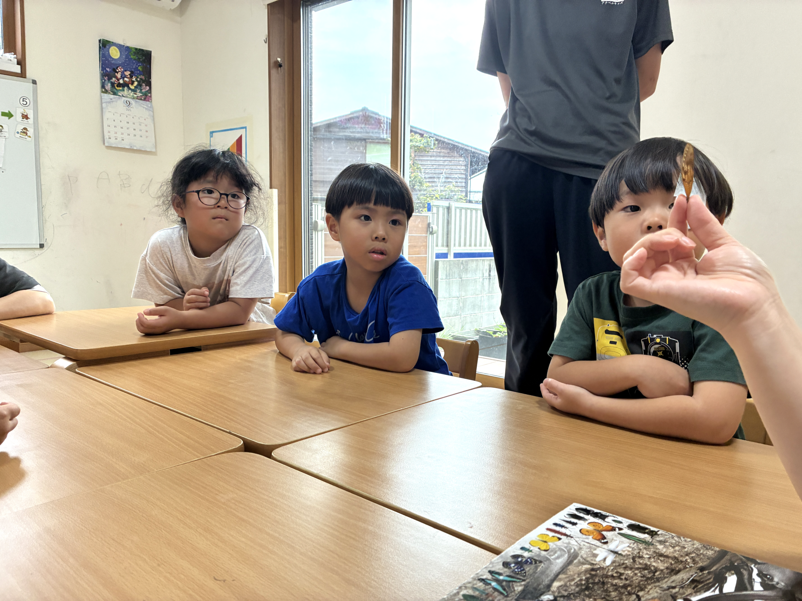 みんなで実物の羽根を見る